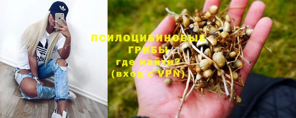 мескалин Елизово