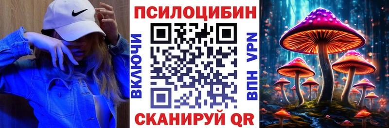 Псилоцибиновые грибы мухоморы  Купить закладки  Ковылкино 