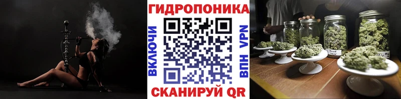 Конопля сатива  Купить закладки  Ковылкино 